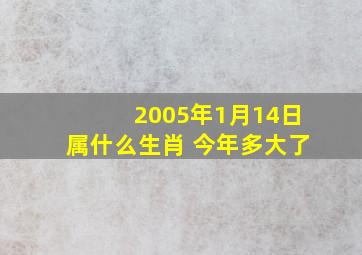 2005年1月14日属什么生肖 今年多大了